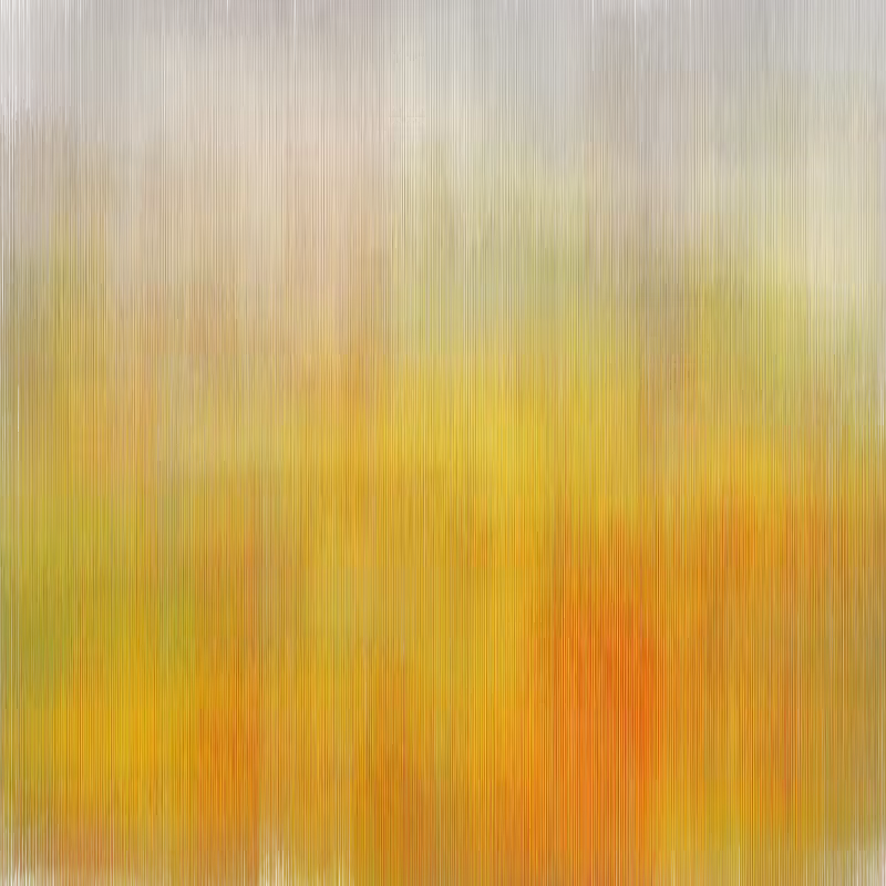 Hatch Field 001 #91
