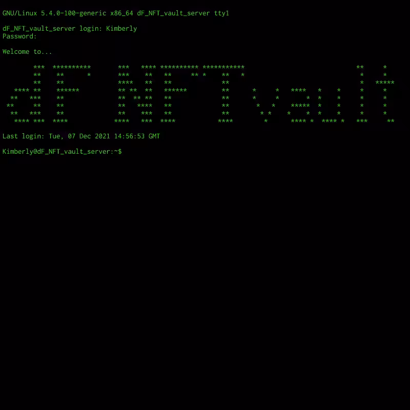Root Access #24