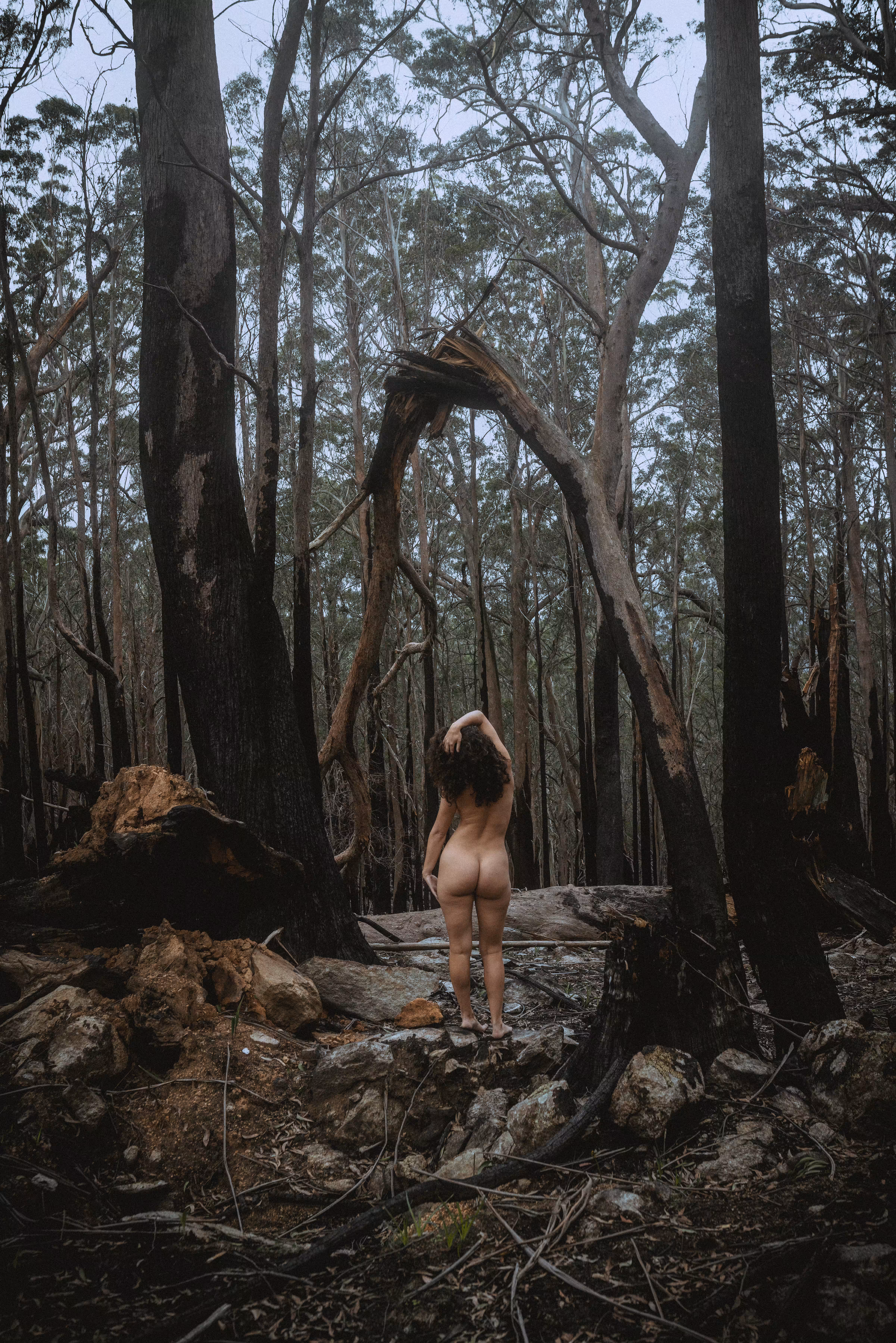 Wilderness of Life