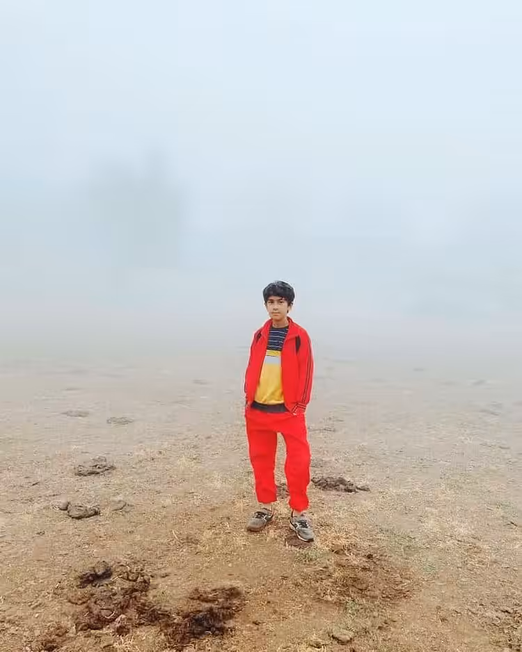 Wanderer above the sea of fog #5