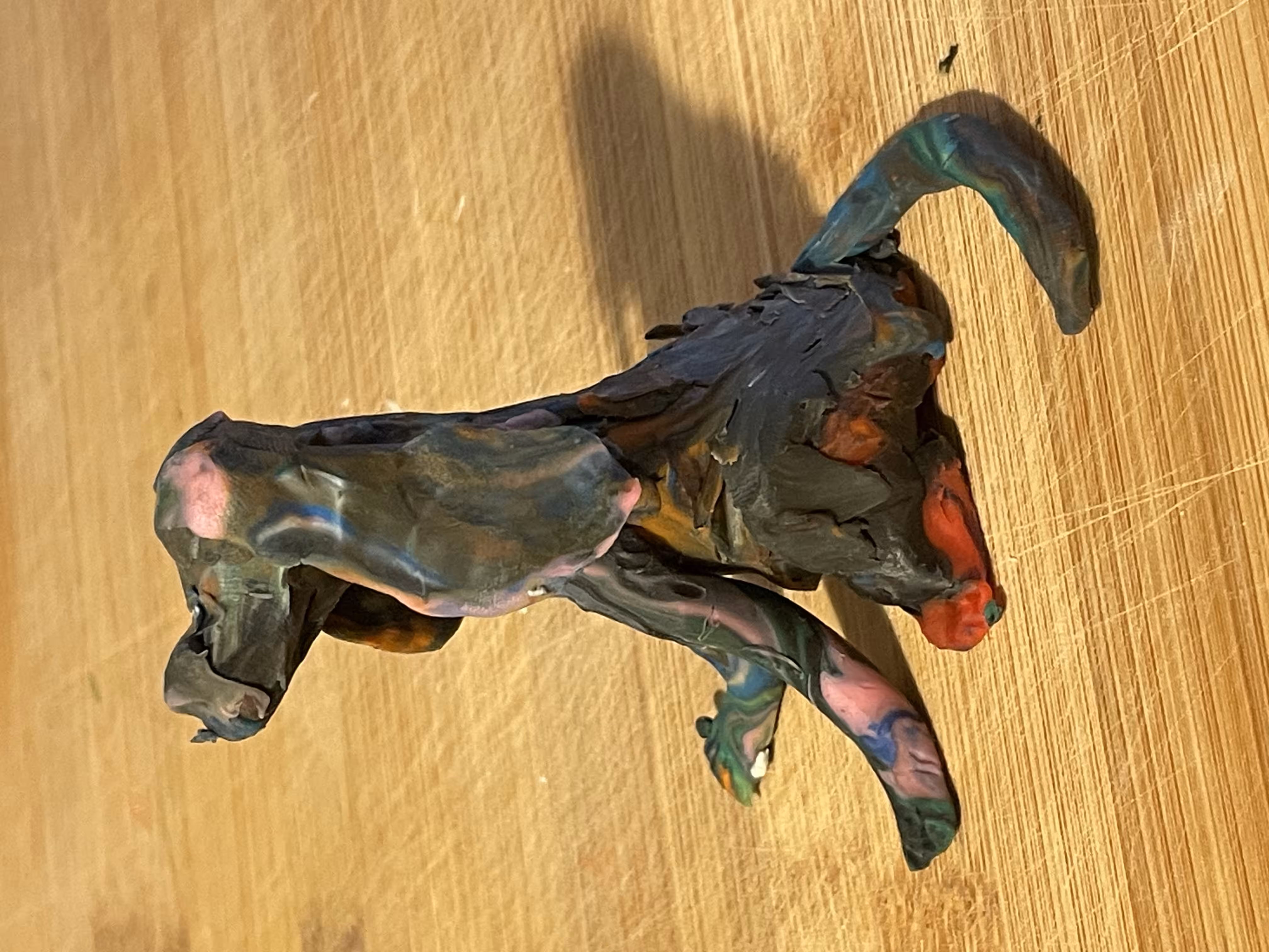 Black dog