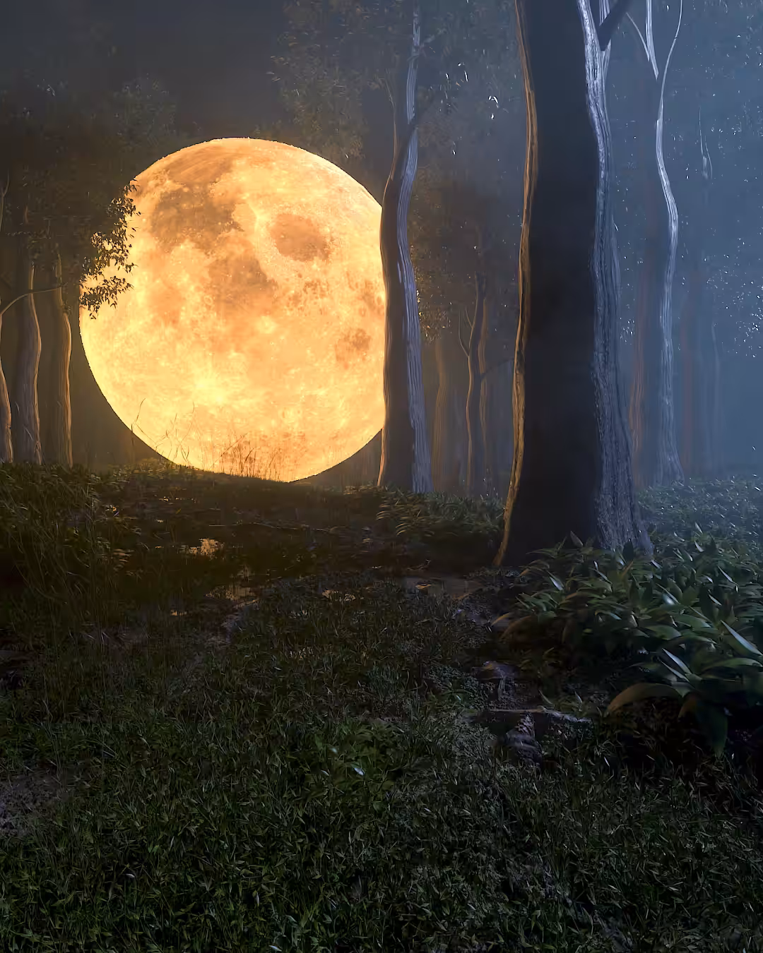 Moon on earth