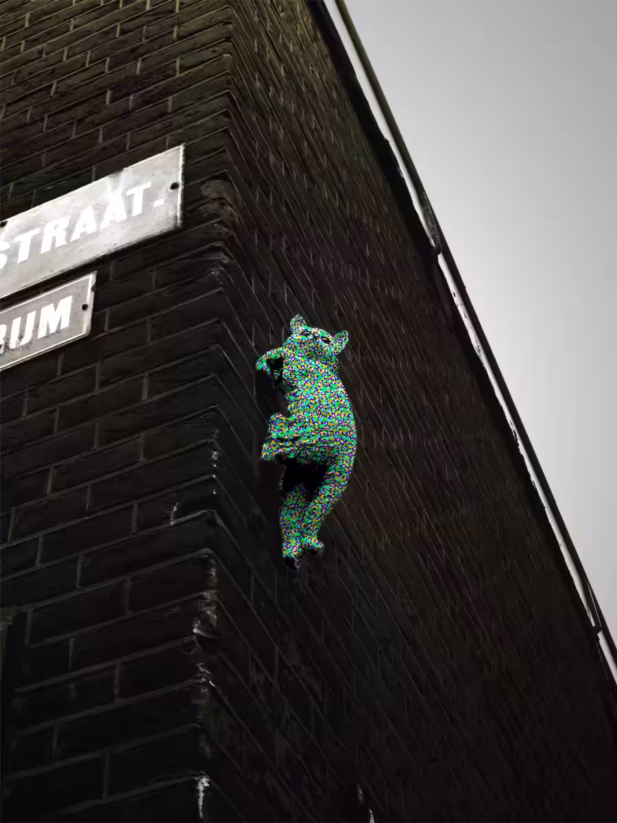 catsterdam