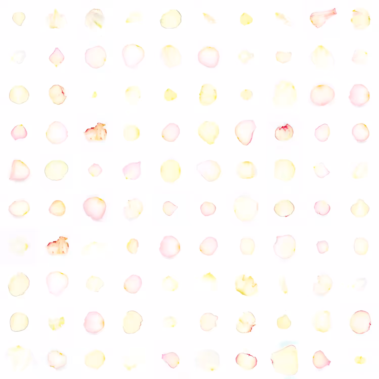 Infinite Petals 10x10#10177