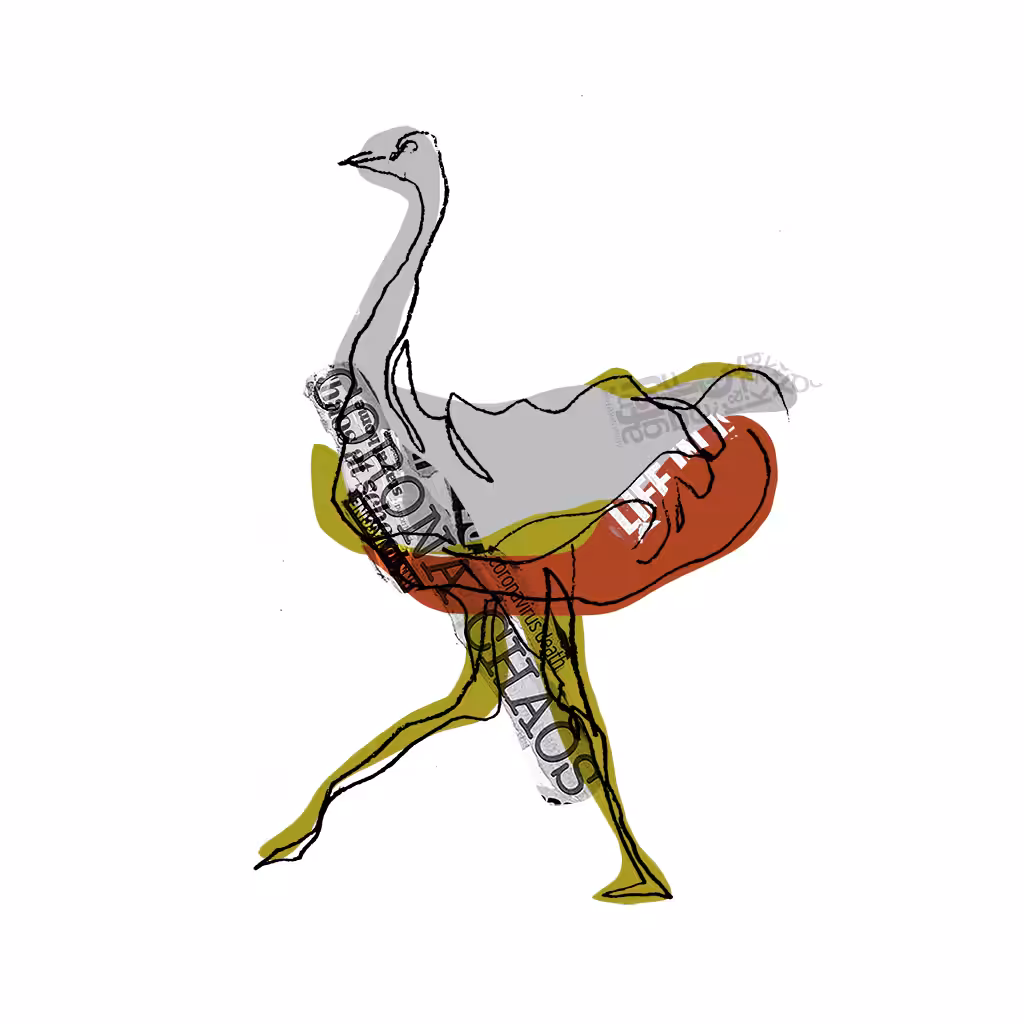 Ostrich 1