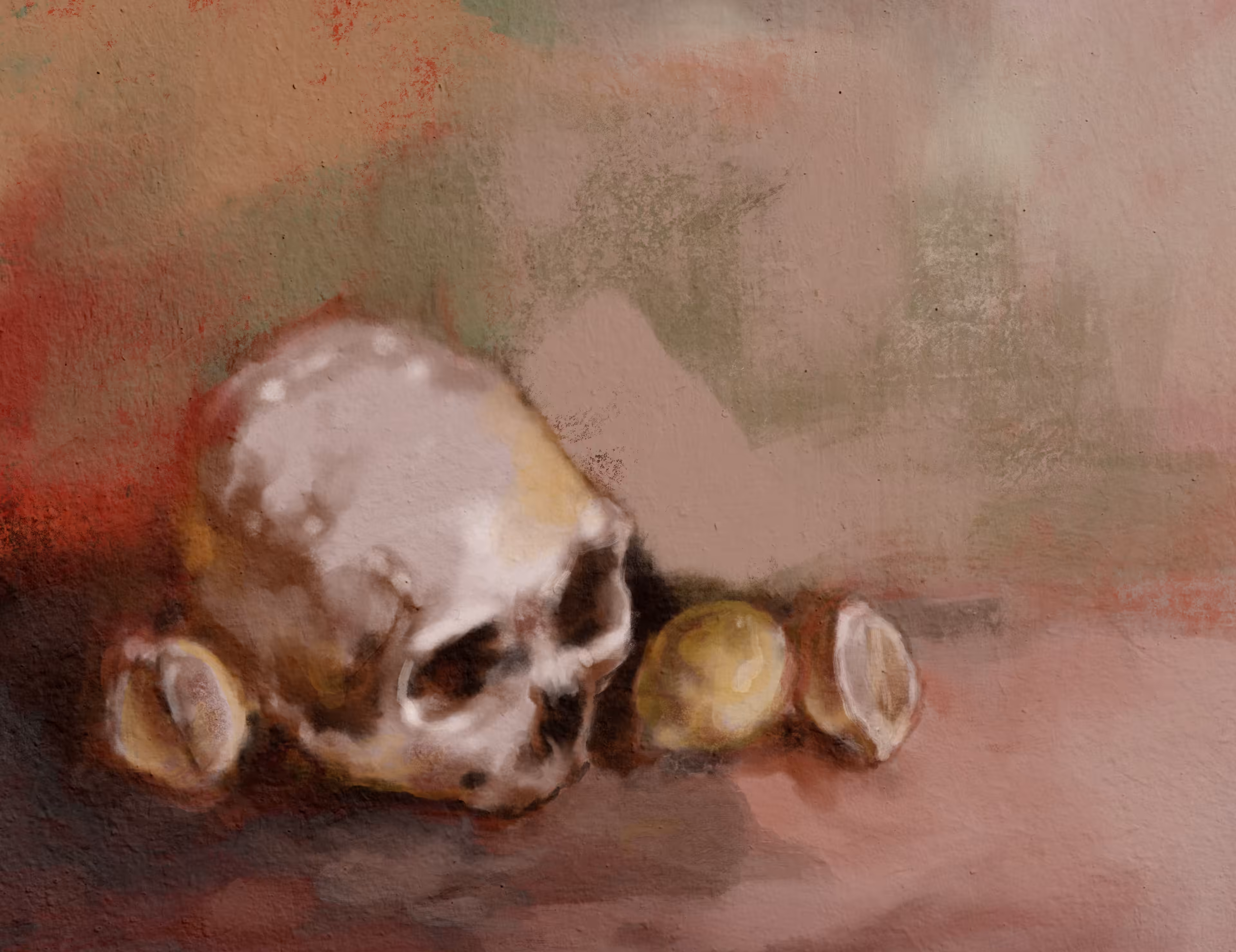 Untitled Skull Study
