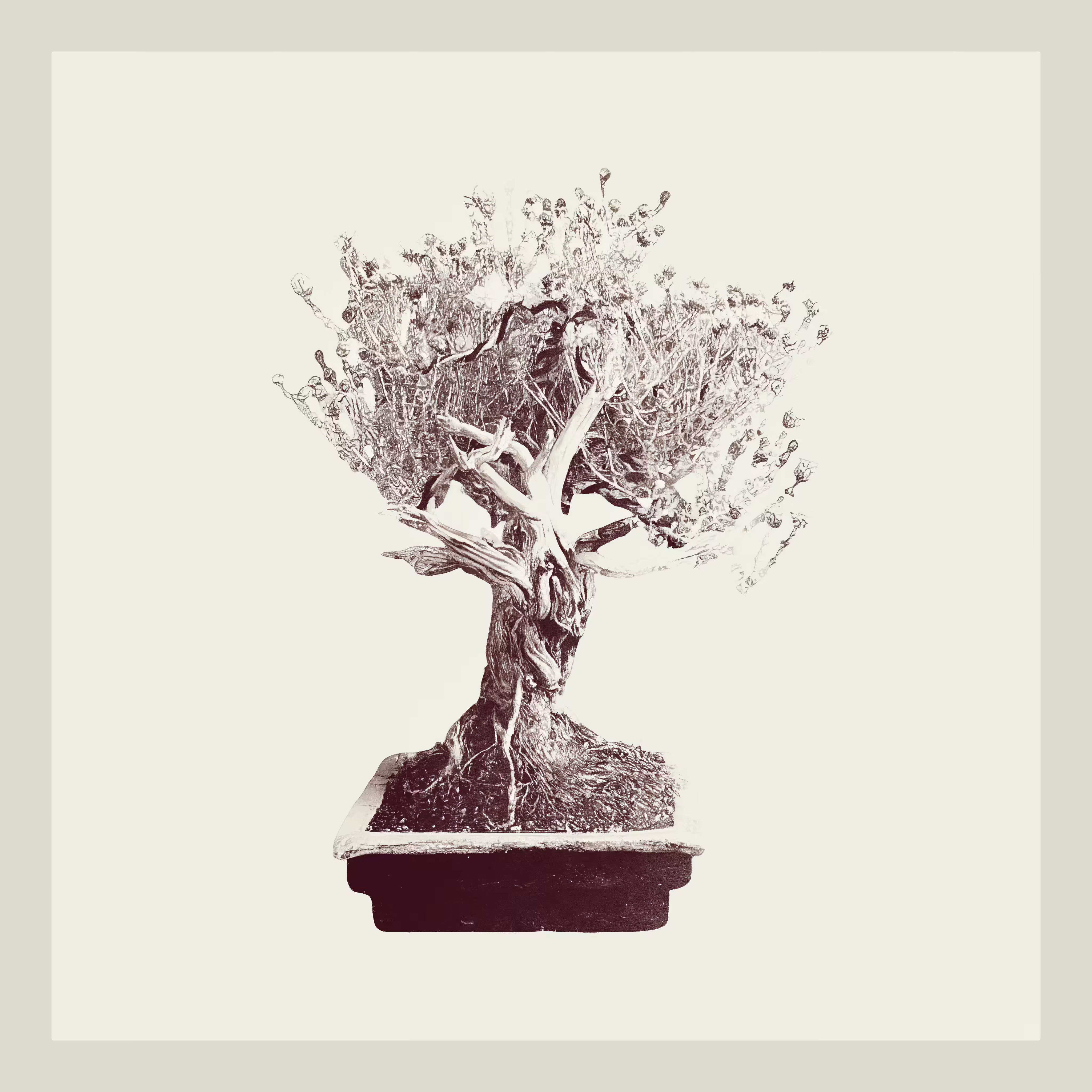 Thyme Bonzai generative tree