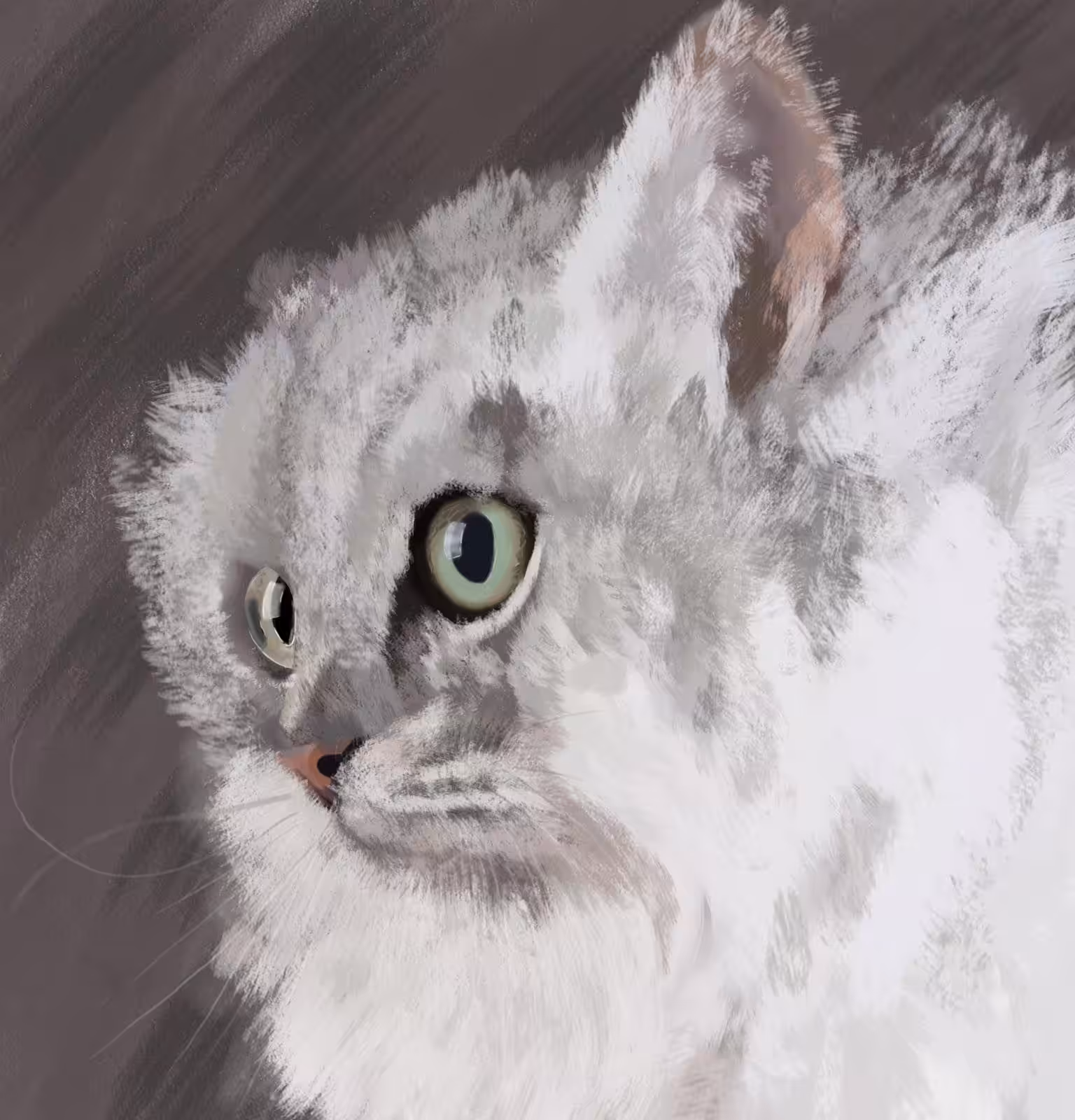 White Cat