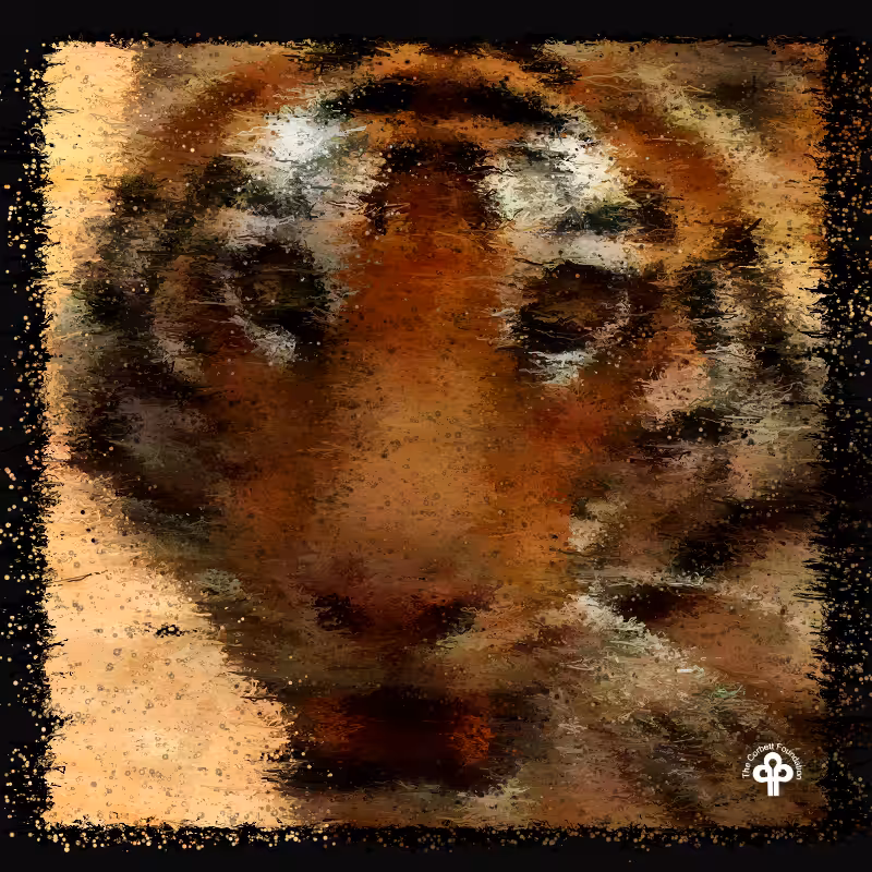 (re)generative tigers #12