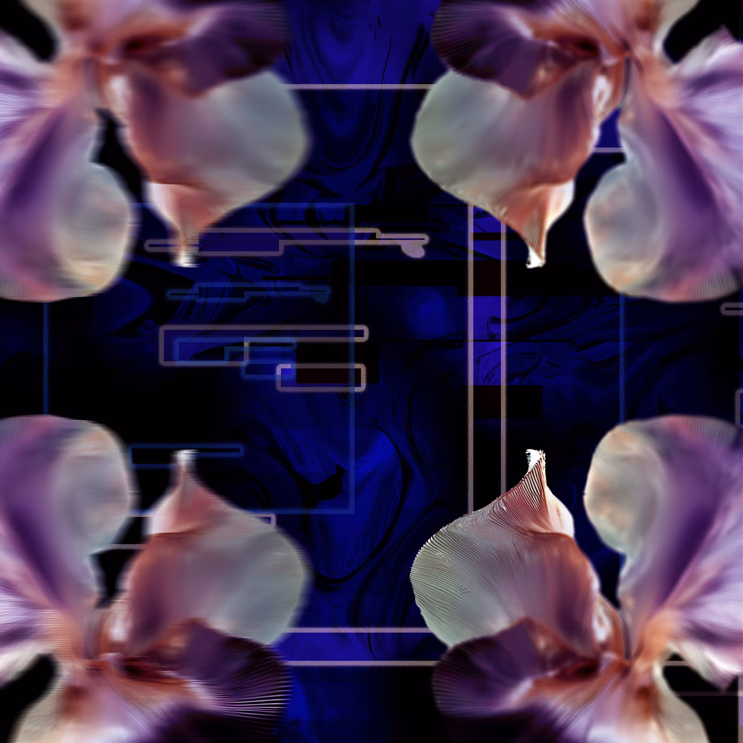 Echo Bloom