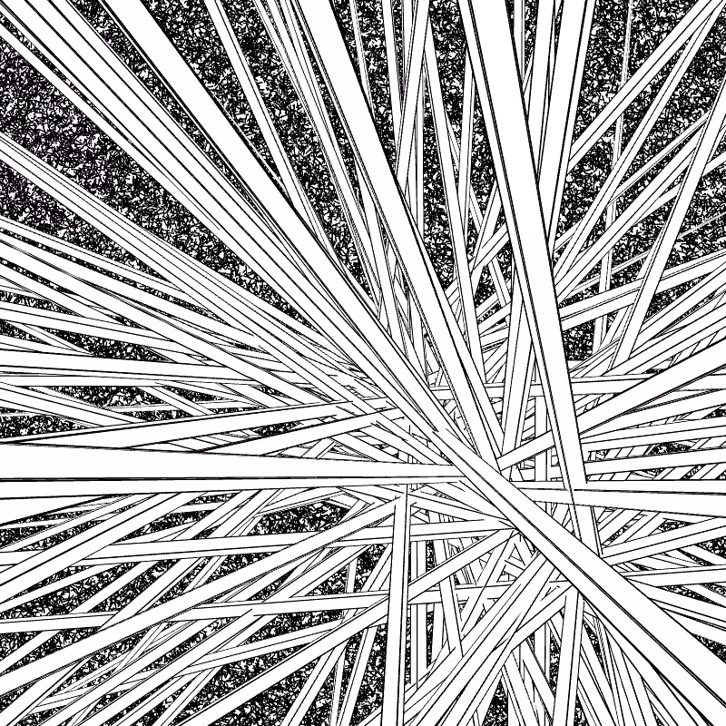 Monochrome Explotion #7
