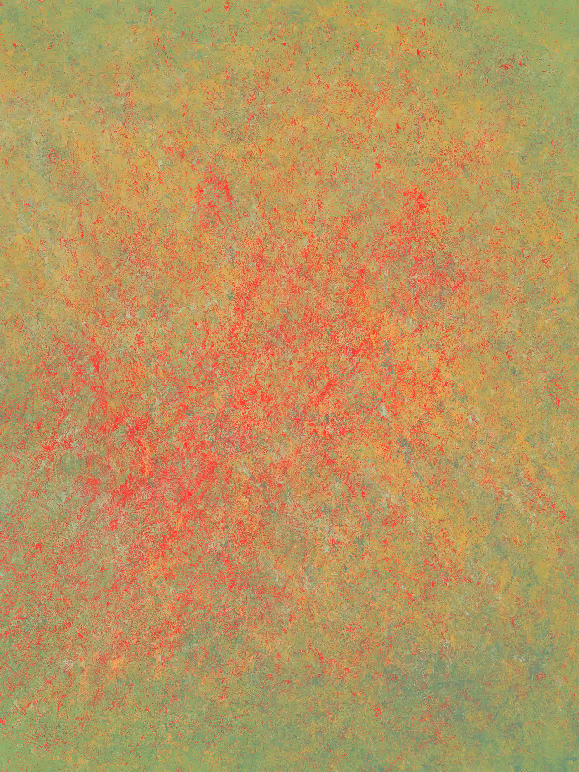 Remains #160