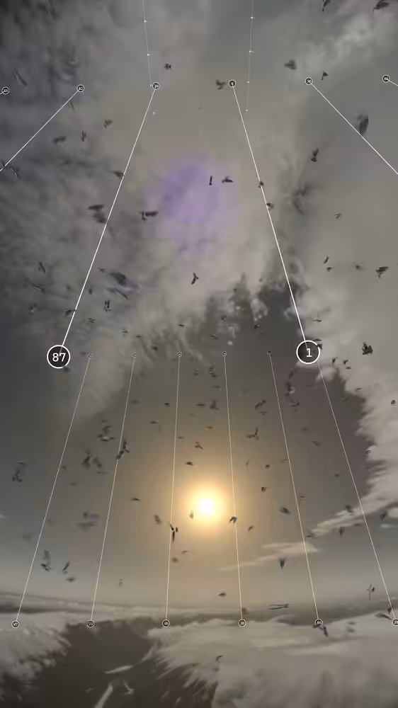 5 pm 433 birds Rain