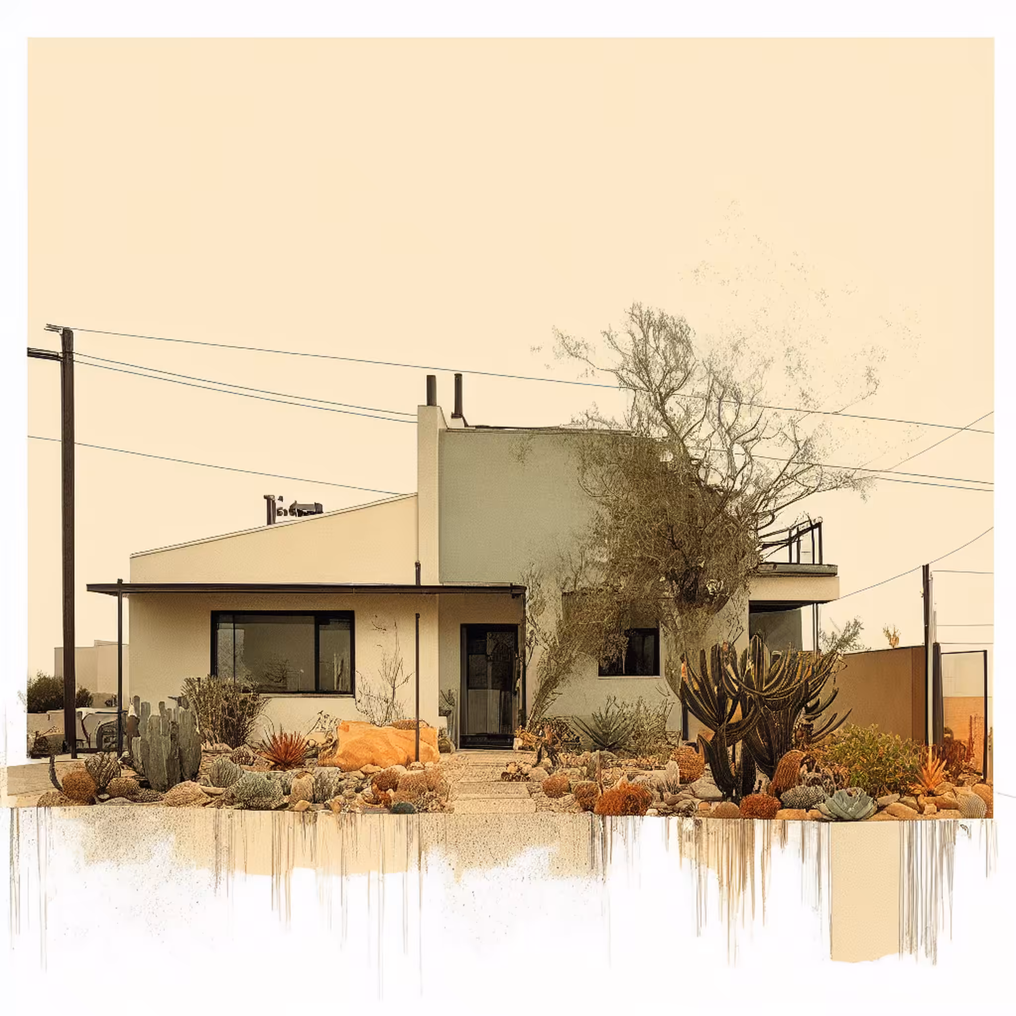Desert Mornings #18