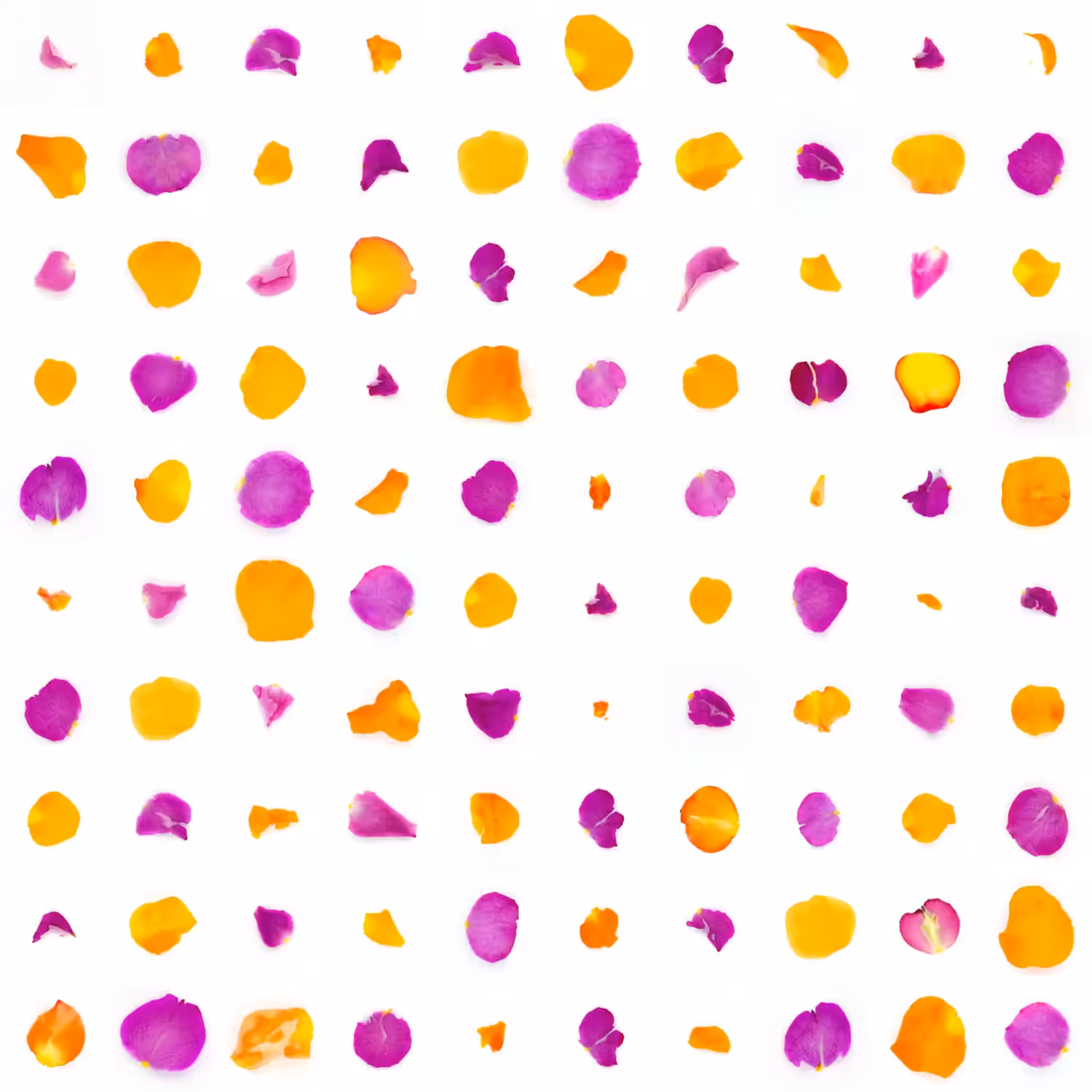 Infinite Petals 10x10#10178