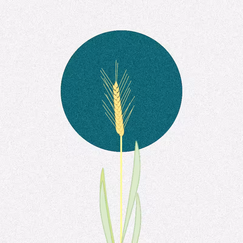 Symbiosis #25