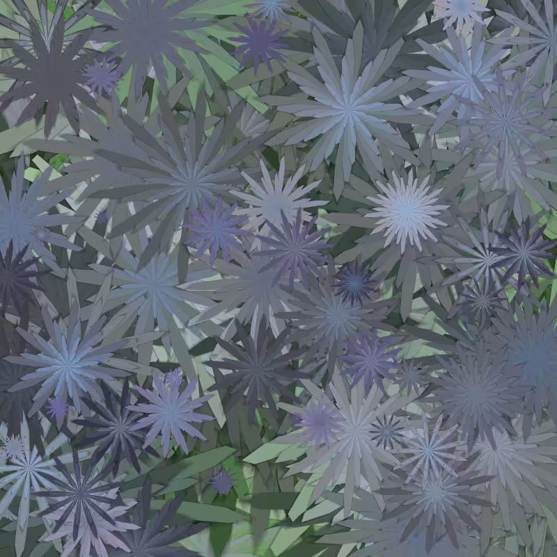 Flowerfield.  #4