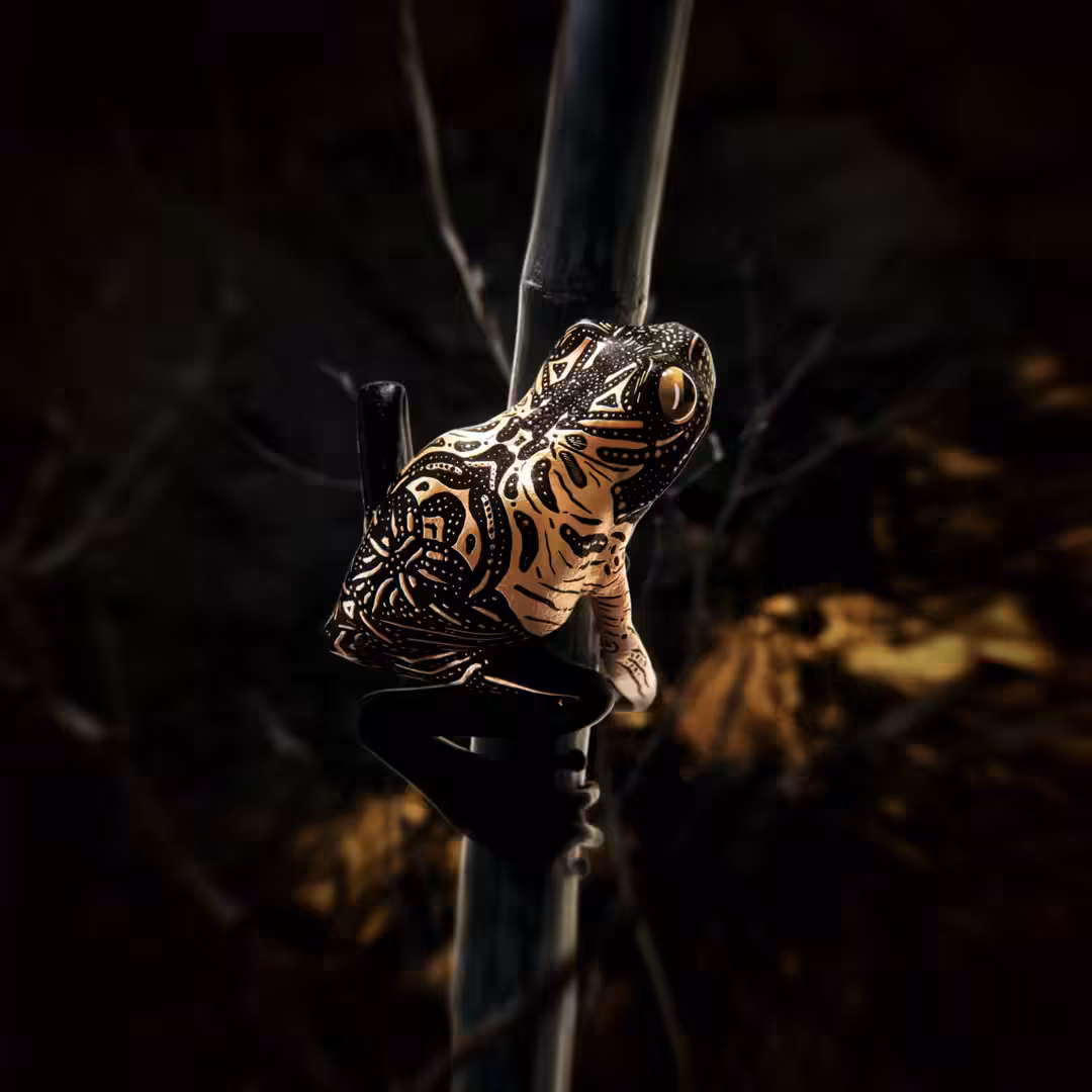 Tree Frog II
