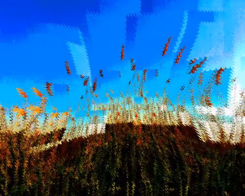 skyscapes: 95