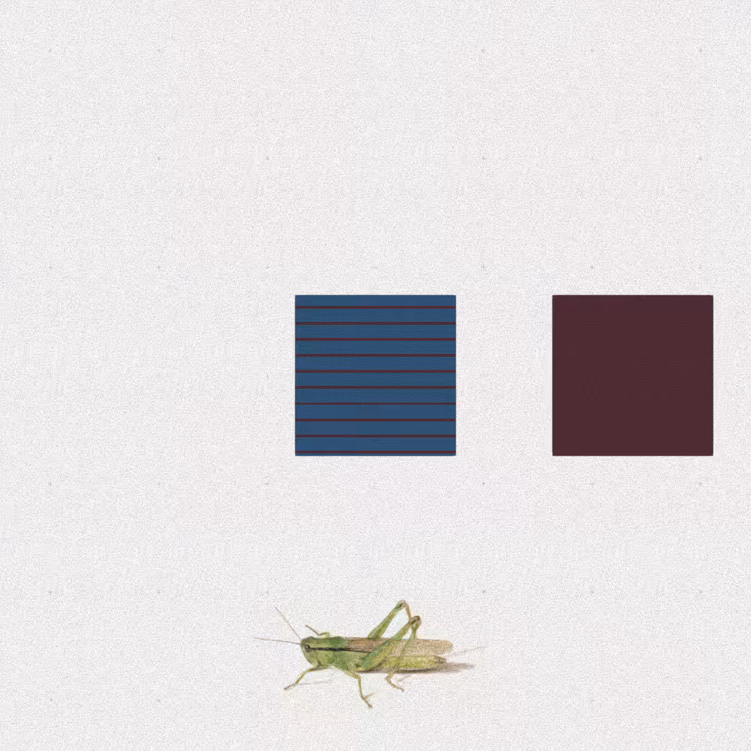 Grasshopper #12