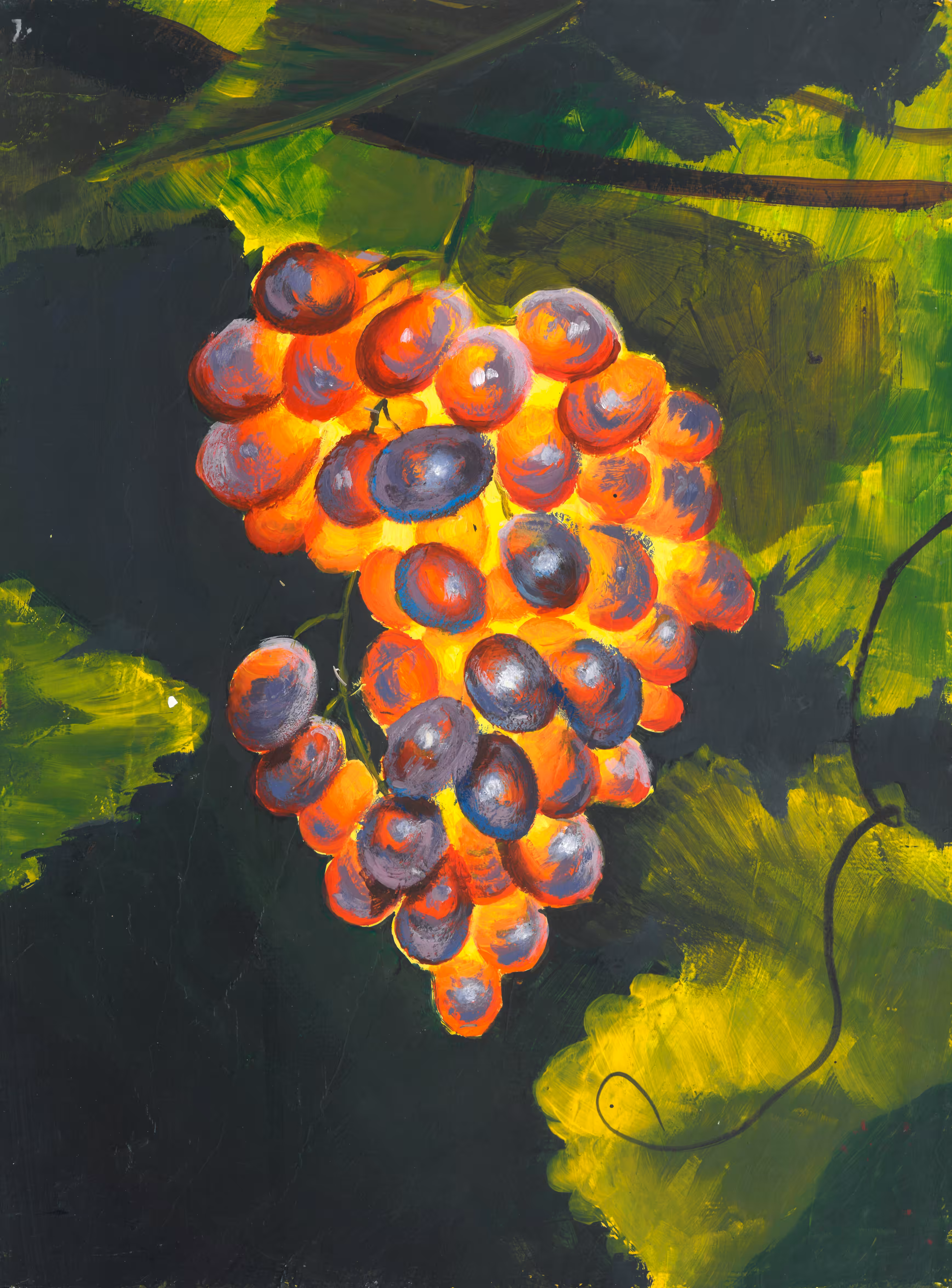 "Grapes in Evening Light"  