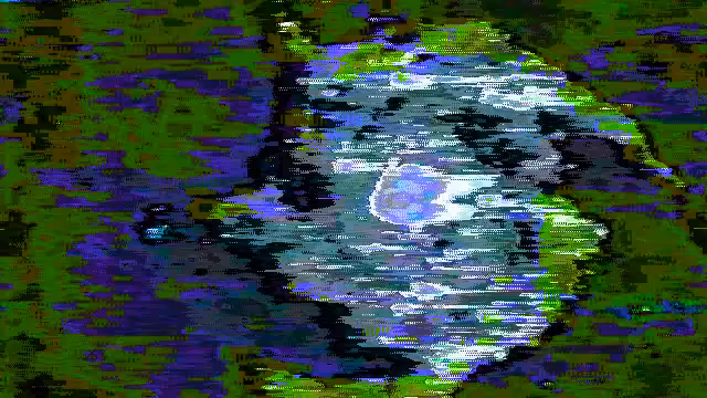 ≵⩄∐⋆⪮⋣≾⟯⊊⋳⪌⧒⧞▤ #1000253