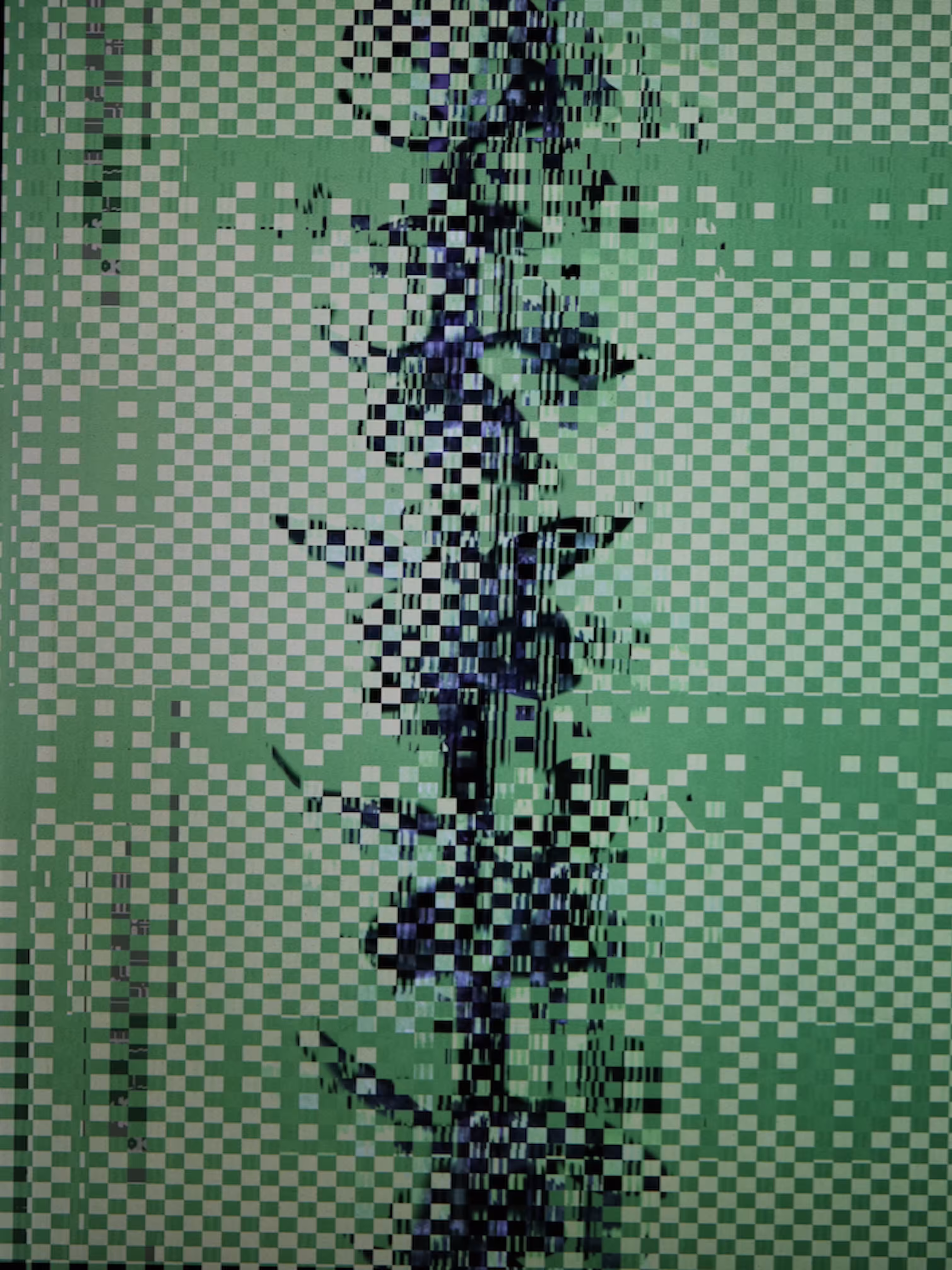 LOWREZ088