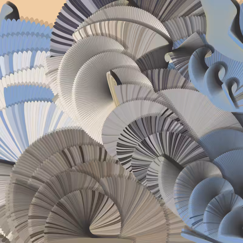 Seashells #82