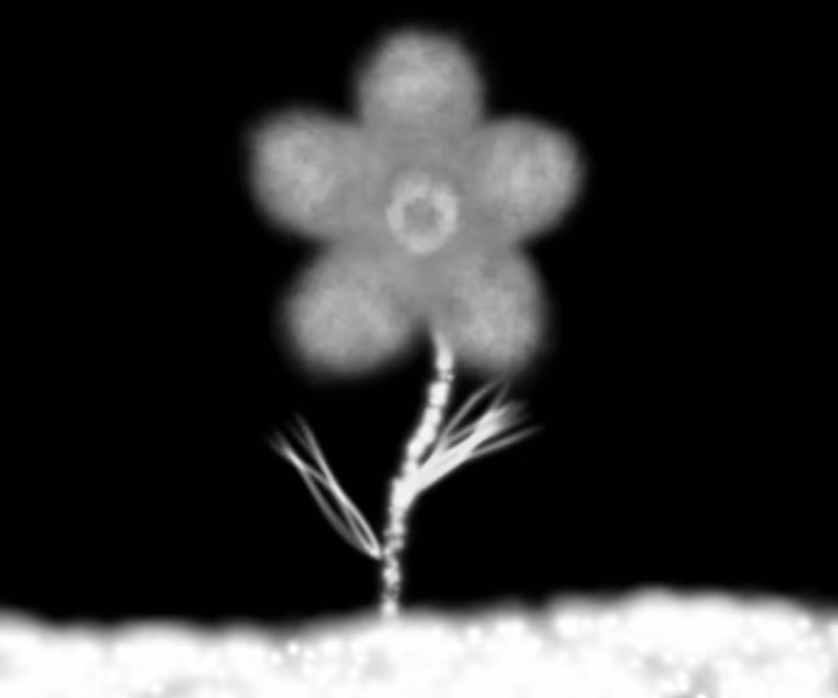 Magic Flower