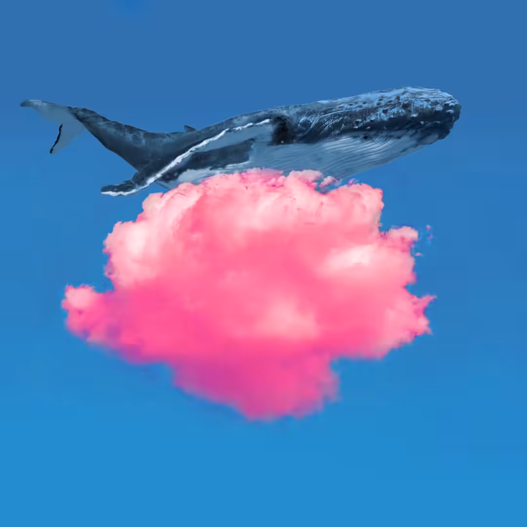 Whale Resting with Motion