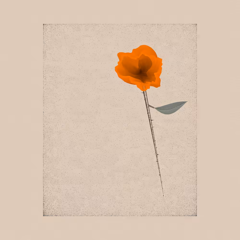 Magnolia #25