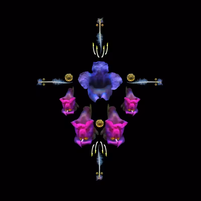 SAGITTARIUS -the star-
