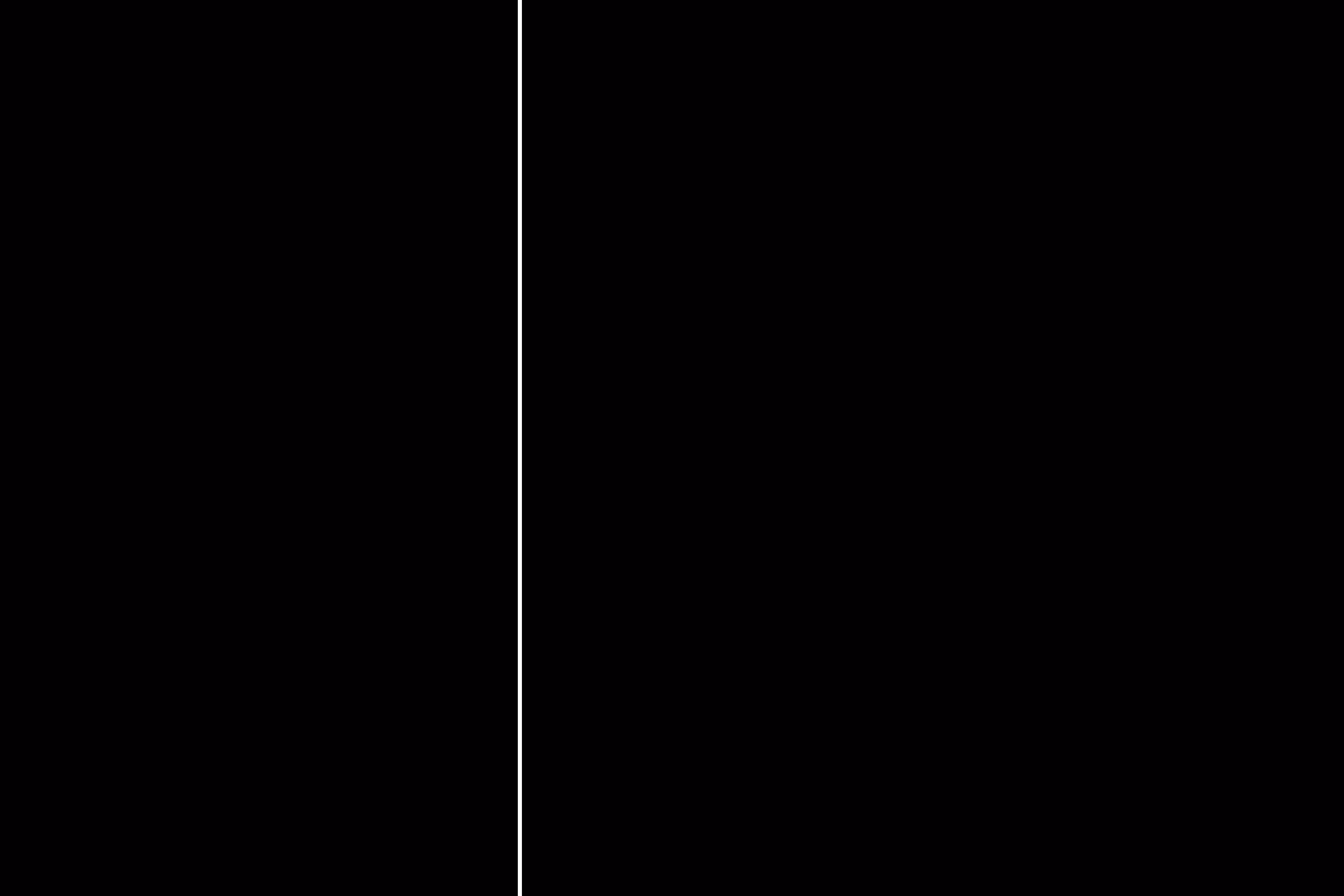 Black & Black