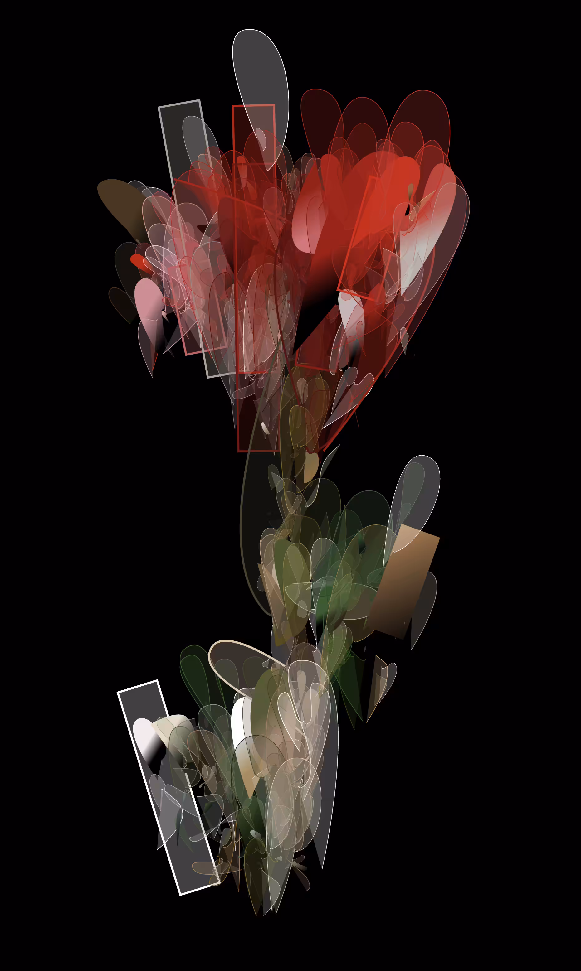 a rose