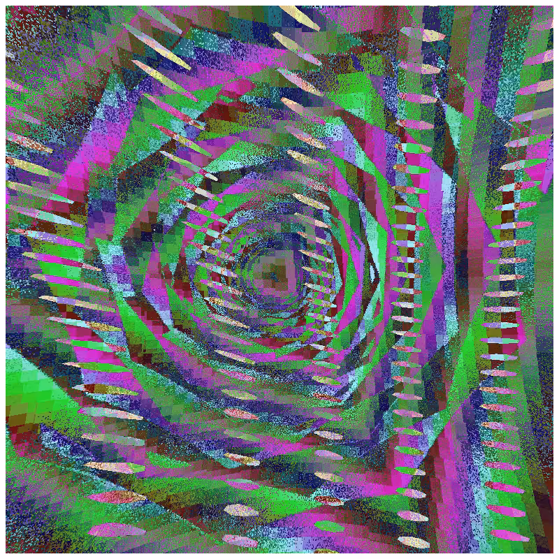 rosette #165