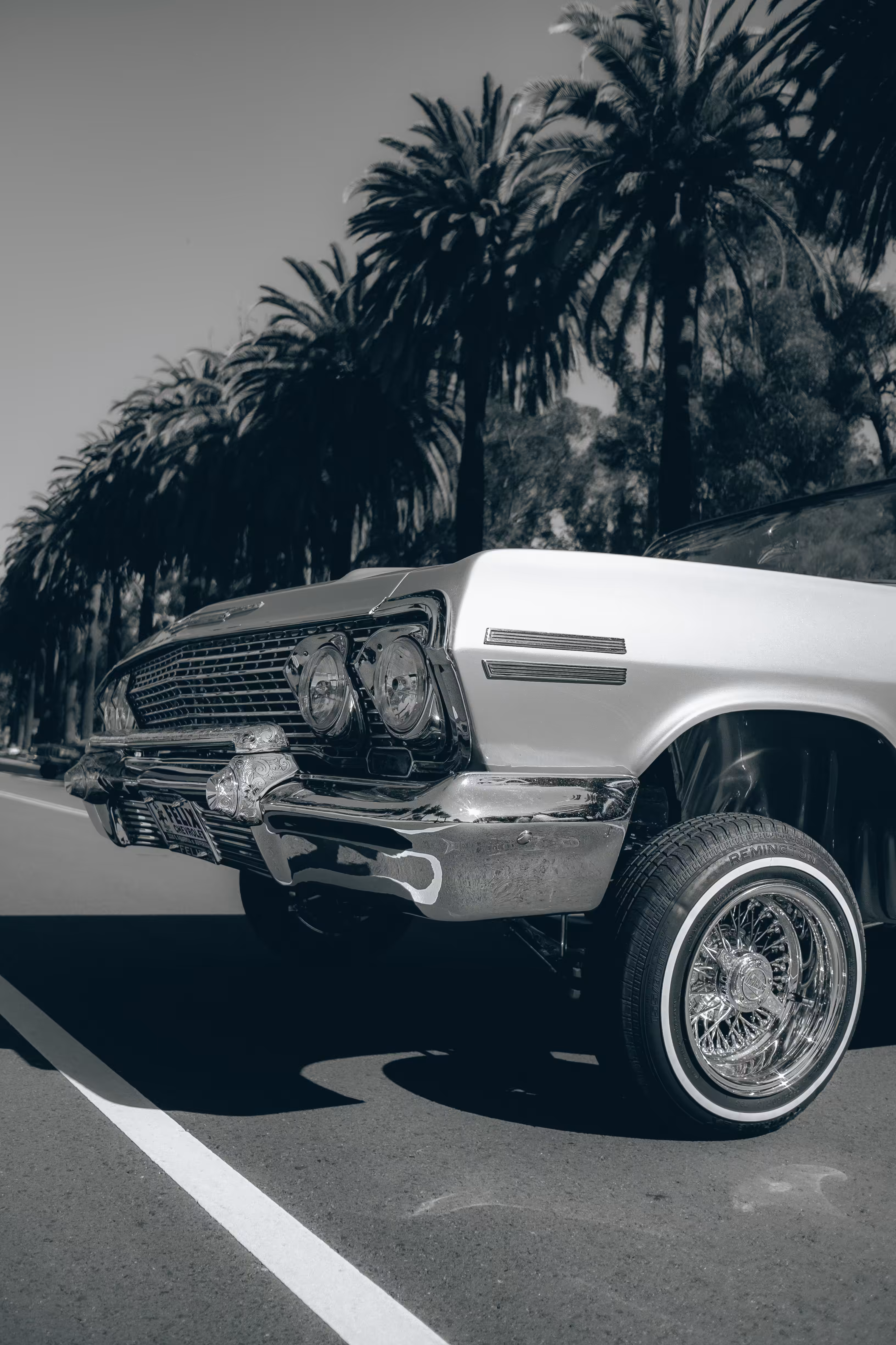 WN Editions: 0001 Low Riders & Palm Trees