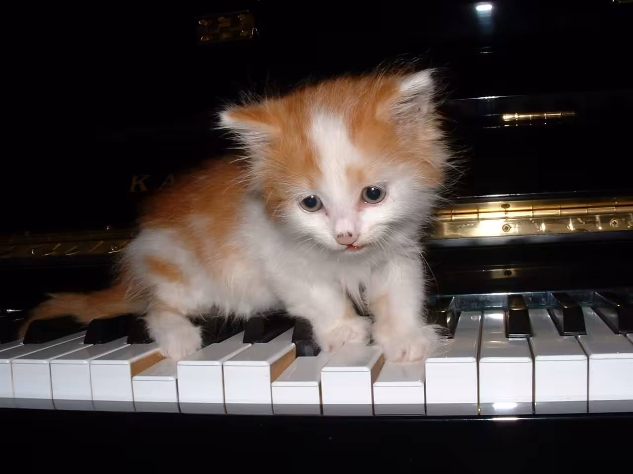 Piano Kit