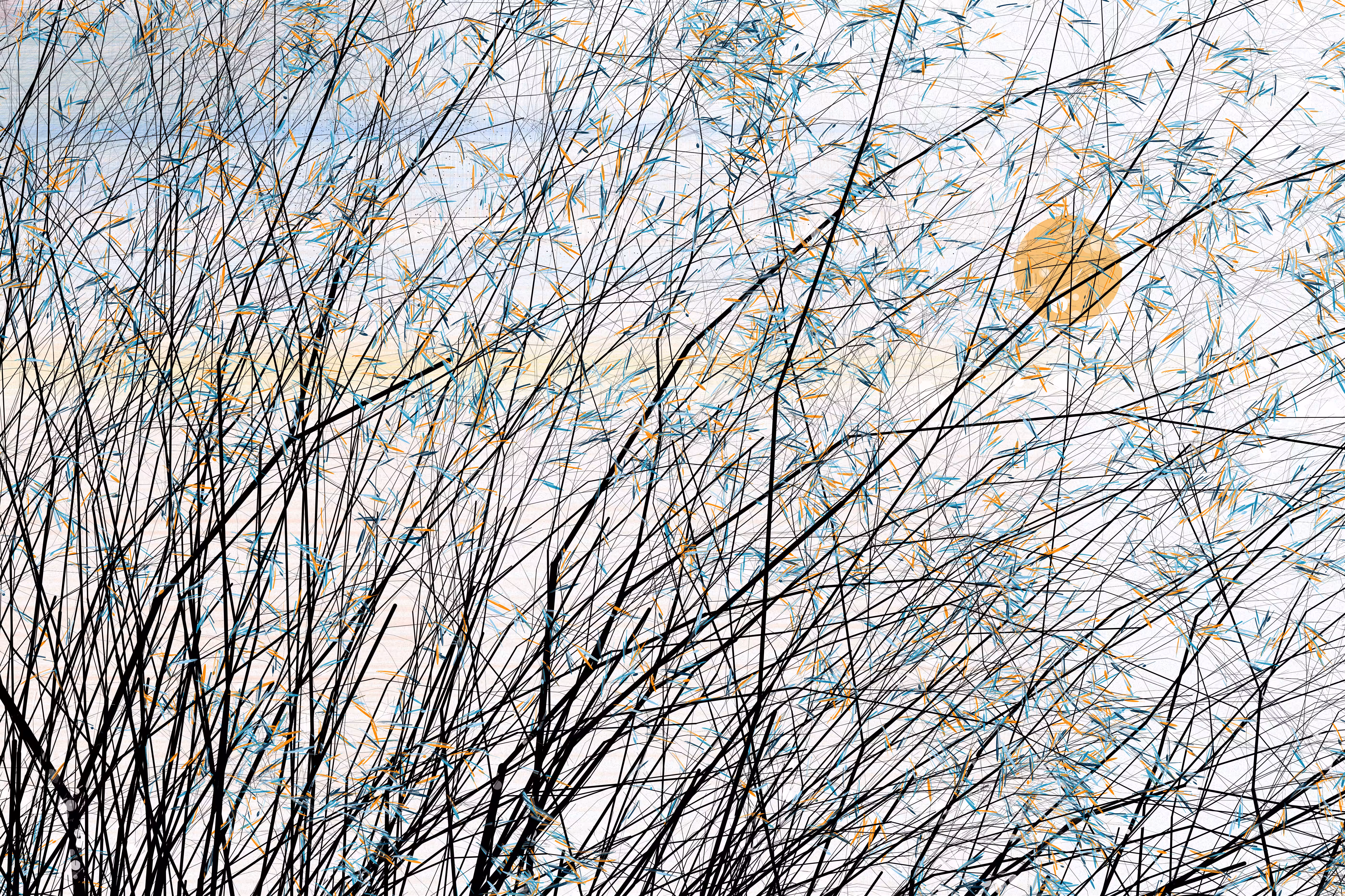conversation with the wind