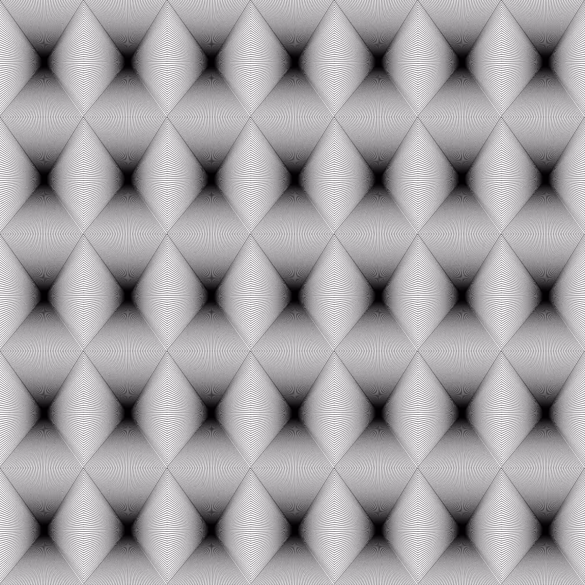 Noir et Blanc #29