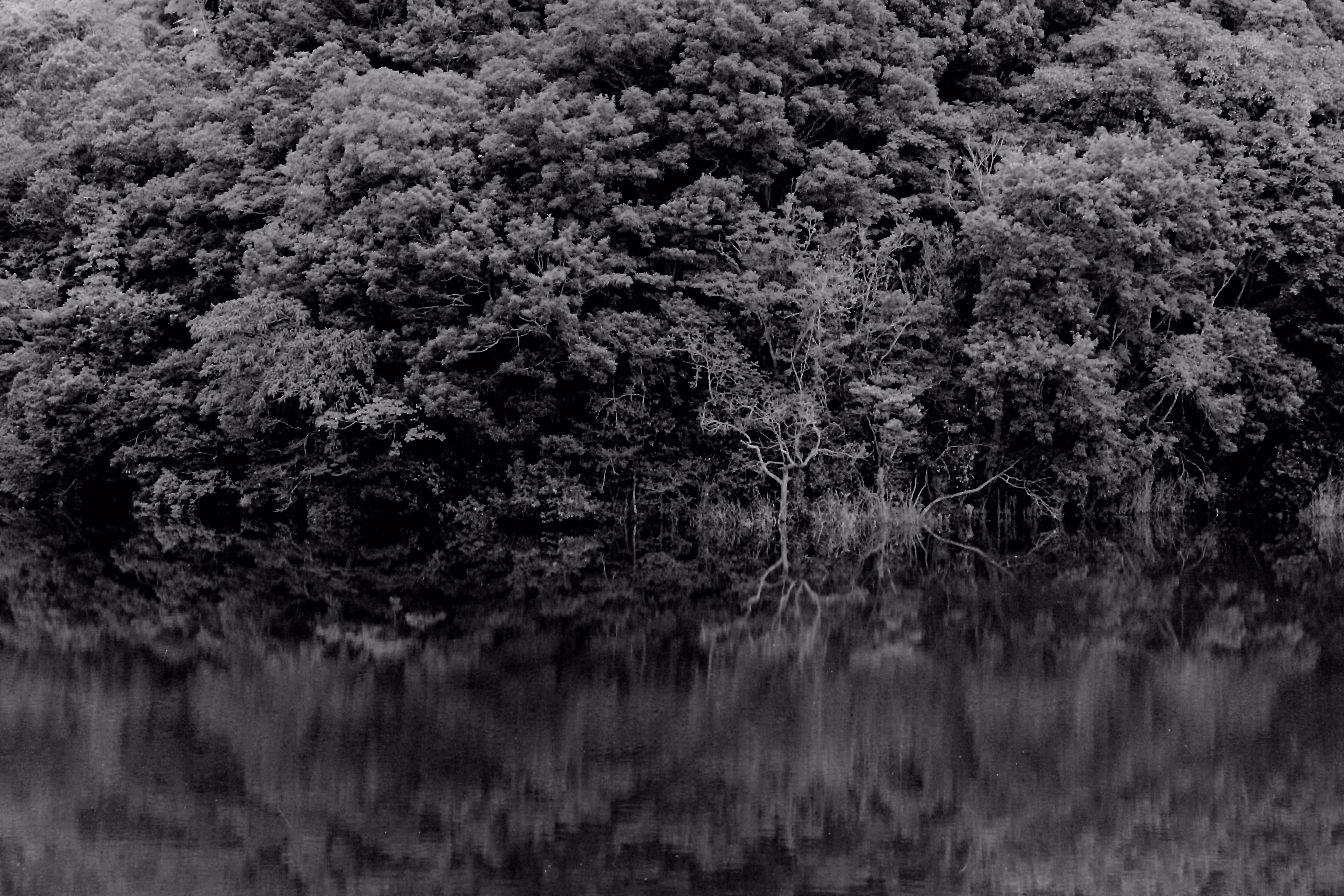 Heaven Series: The World of Film - Beautiful World