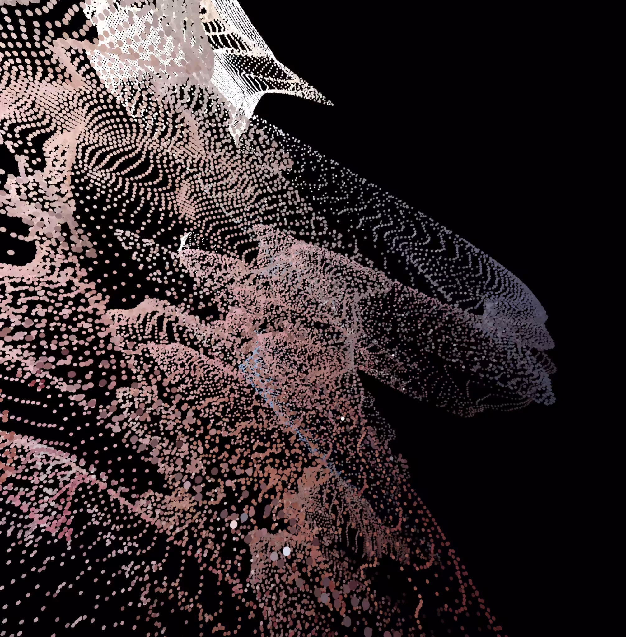 Fragment124
