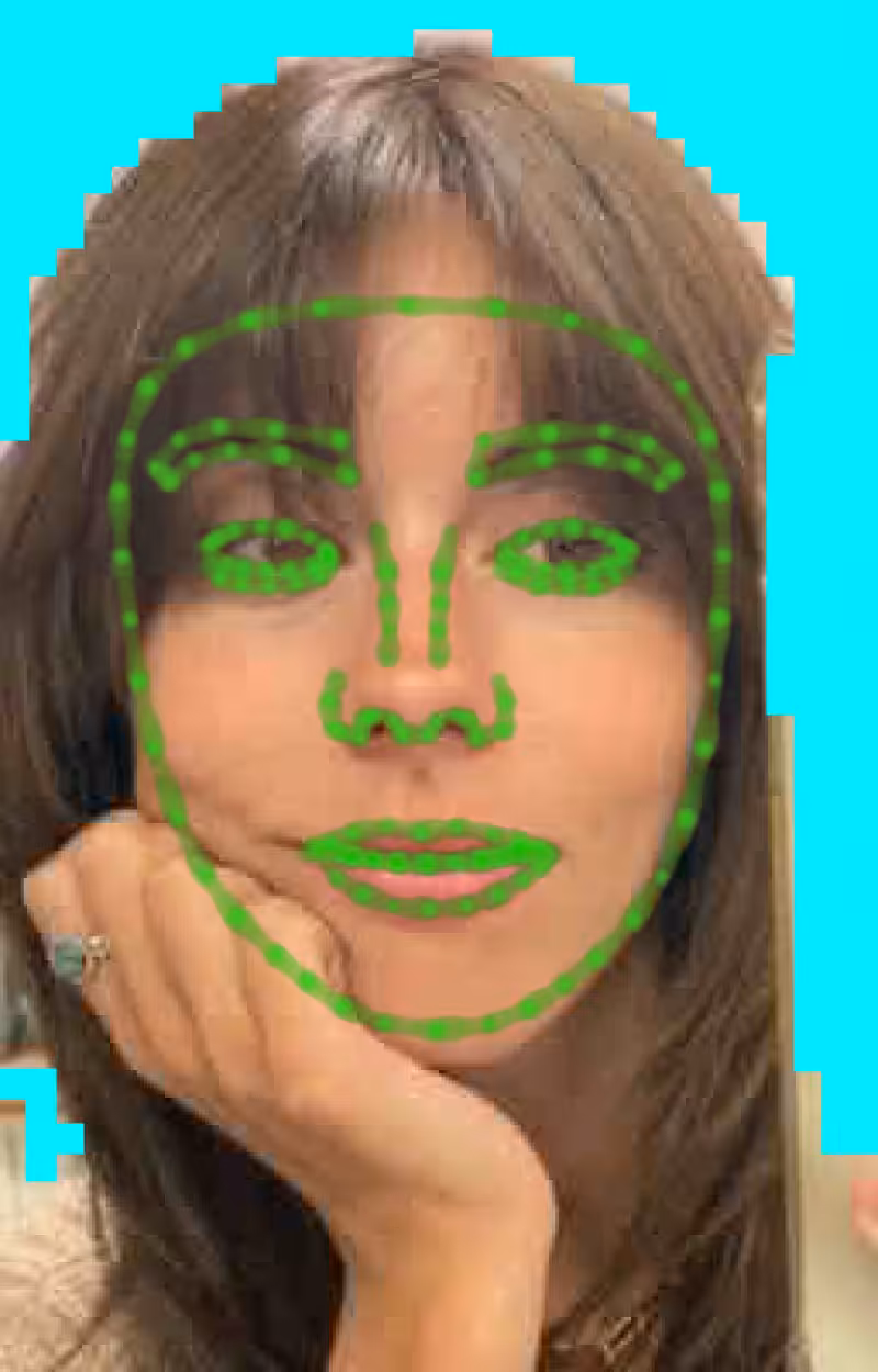 fxFacetune #8