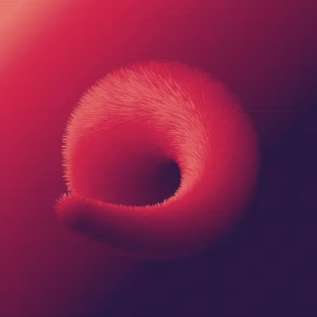 Wonderful Curves #13