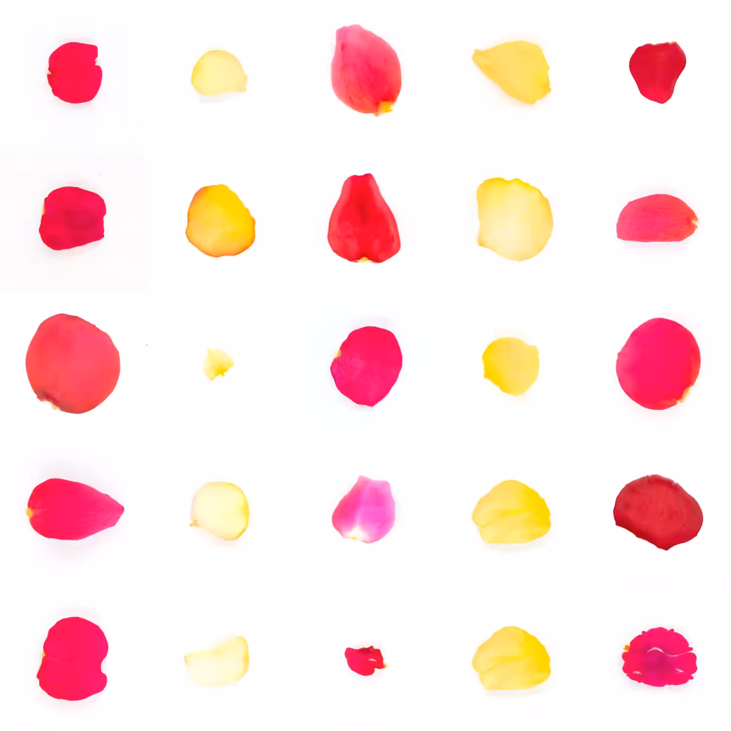 Infinite Petals 5x5#154
