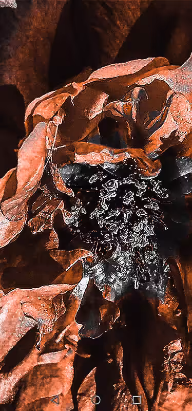 Power's Flower 