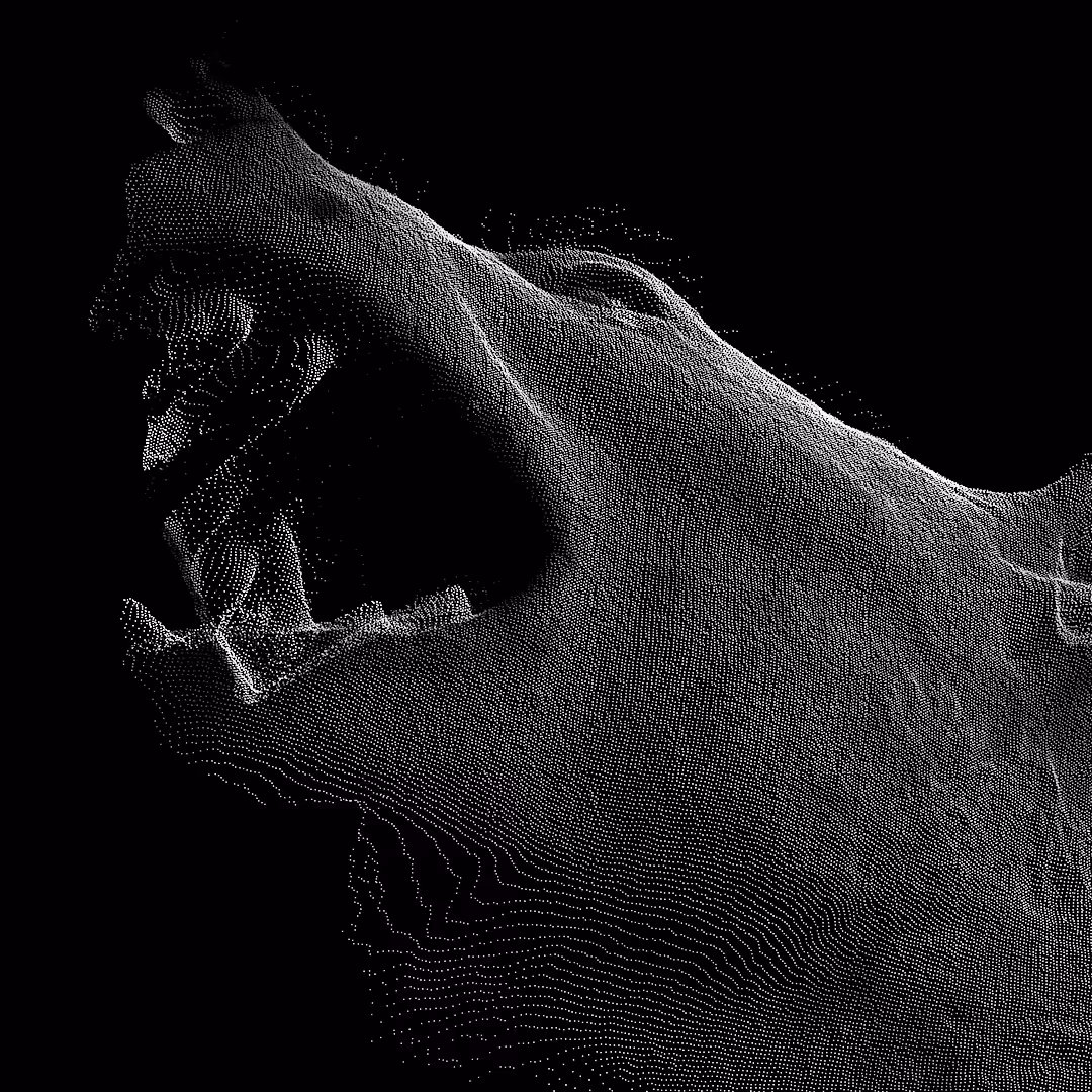 Hyena
