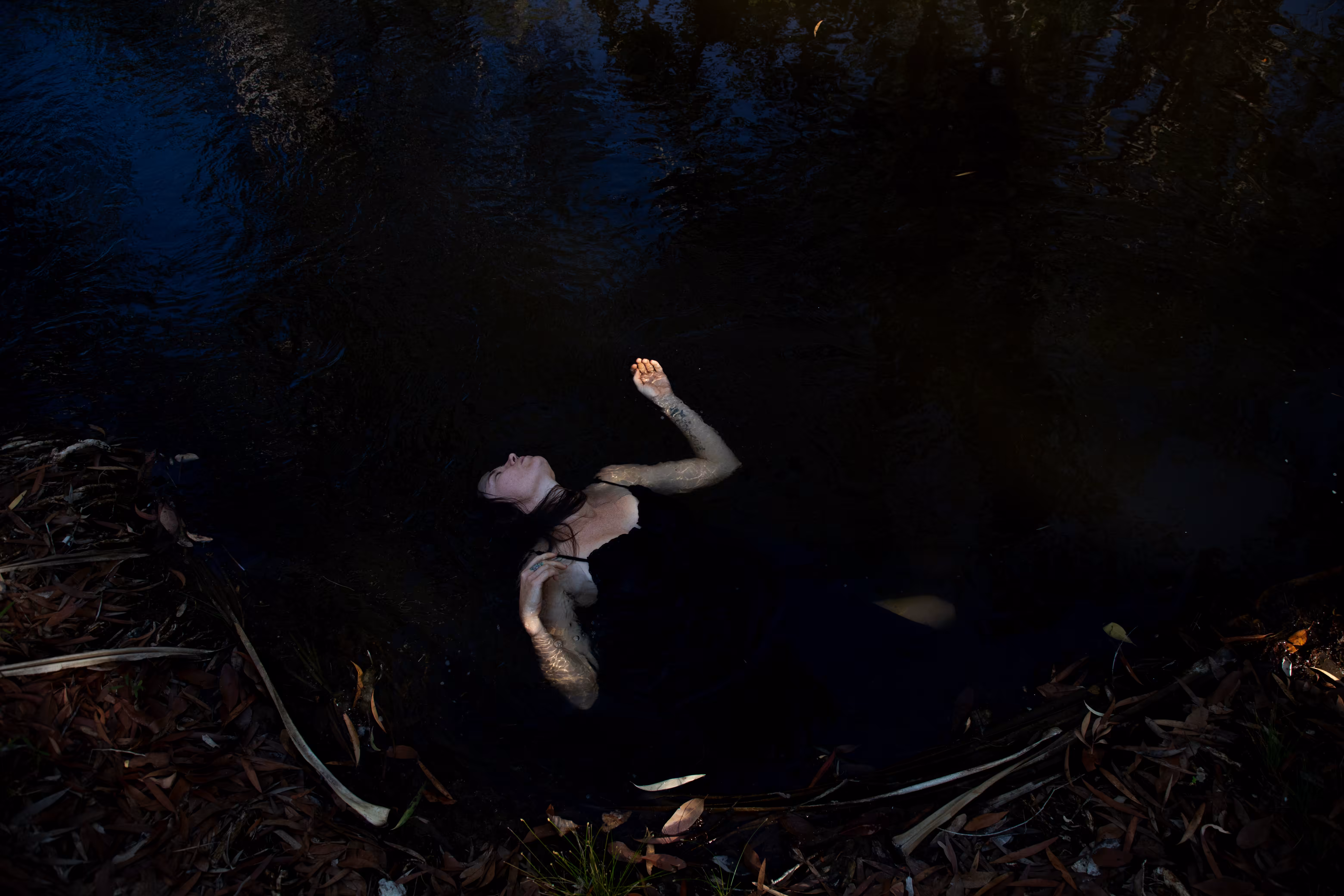 Bodies of Water V