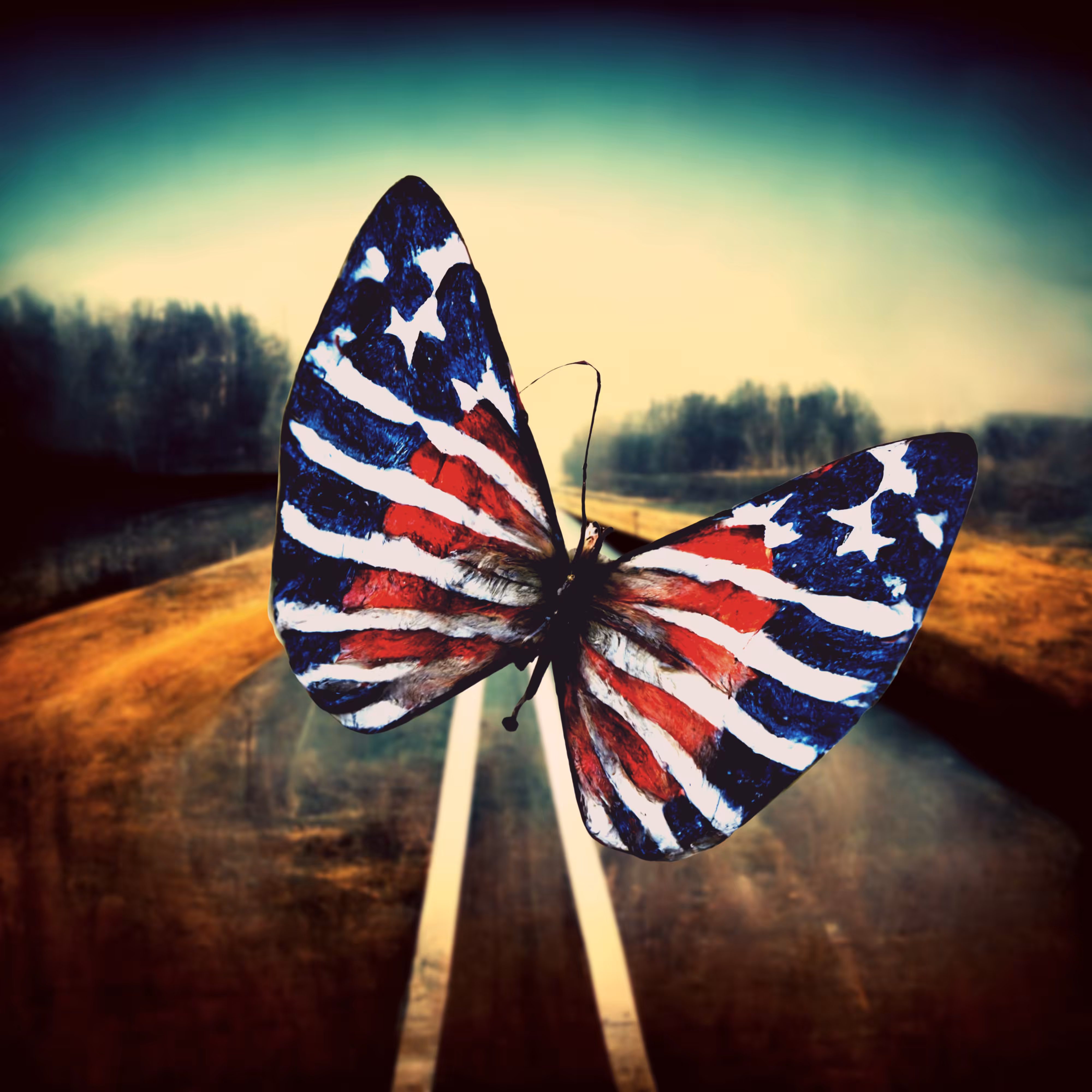 Baby we Were Born to Fly