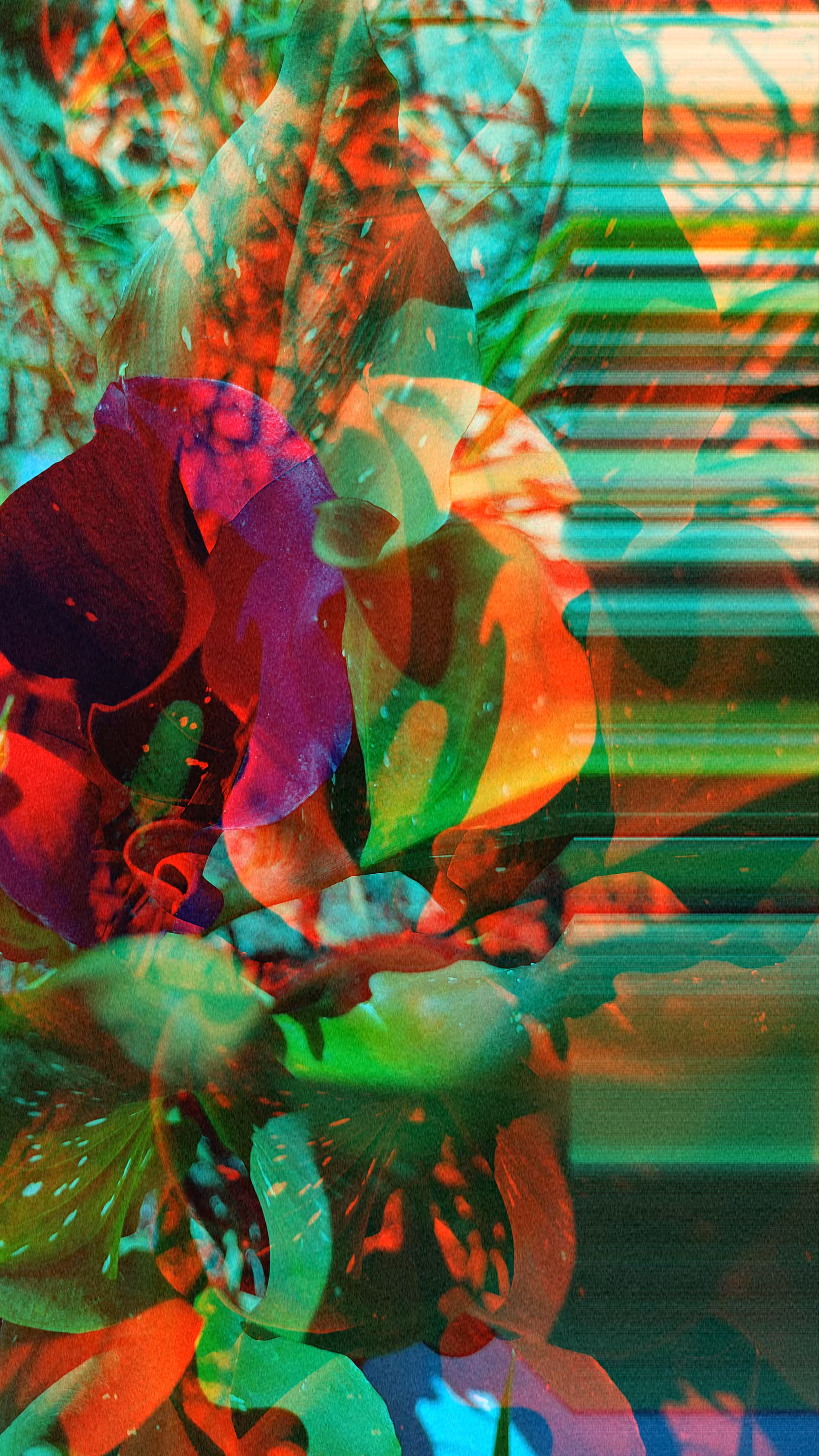 Distorted reality