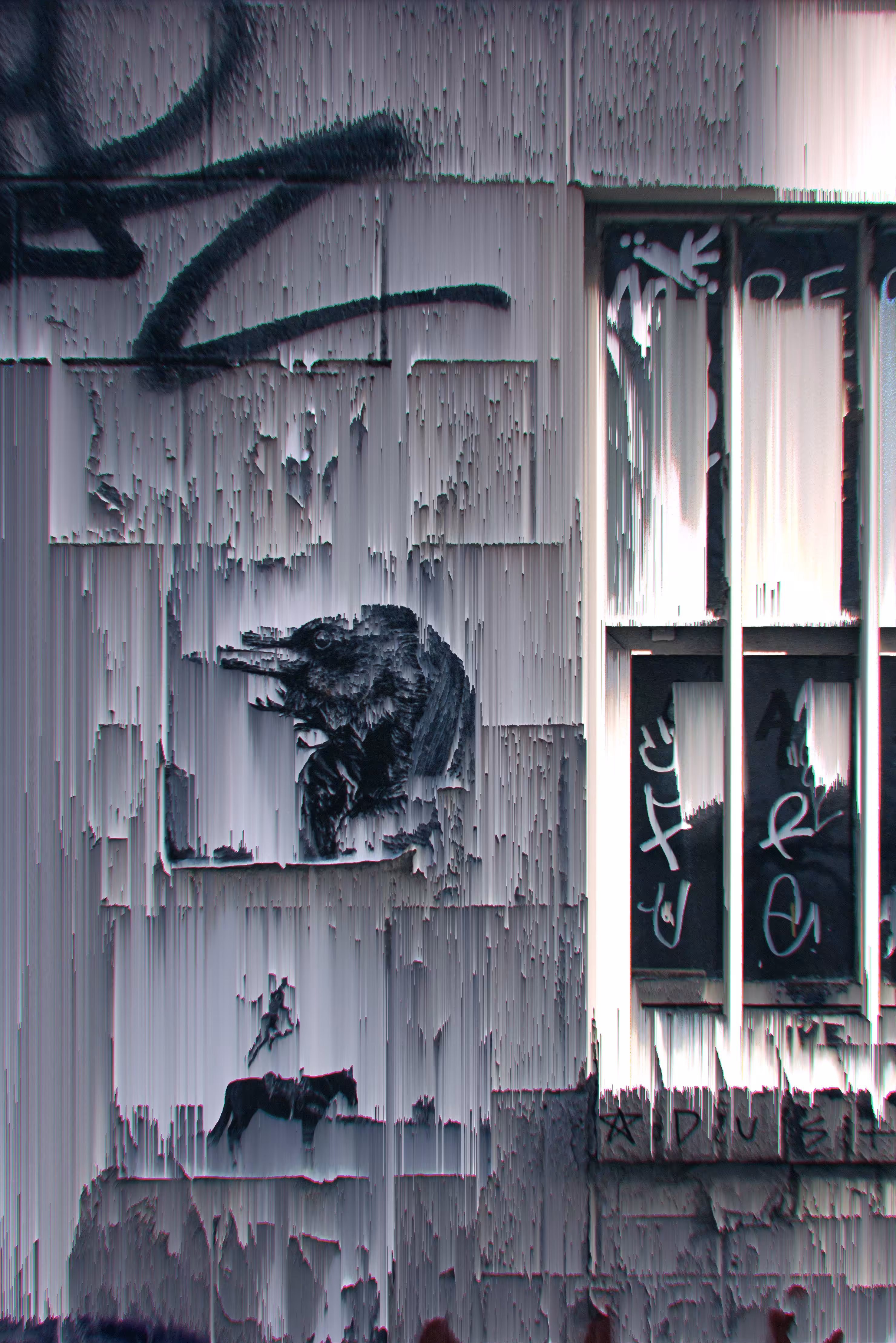The Crow ///